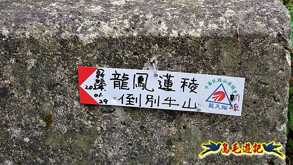 新竹倒別牛山-板根森林-中坑山-飛鳳山步道P形 (60).jpg 新竹倒別牛山-板根森林-中坑山-飛鳳山步道P形 (60).jpg