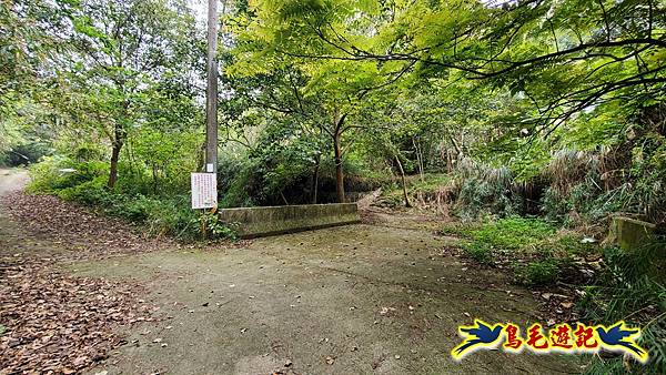 新竹倒別牛山-板根森林-中坑山-飛鳳山步道P形 (59).jpg