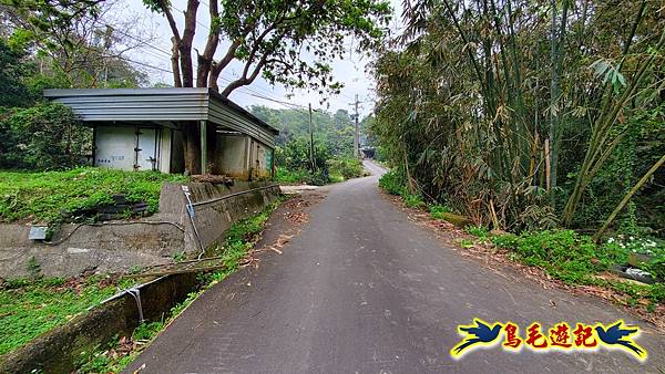 新竹倒別牛山-板根森林-中坑山-飛鳳山步道P形 (62).jpg 新竹倒別牛山-板根森林-中坑山-飛鳳山步道P形 (62).jpg