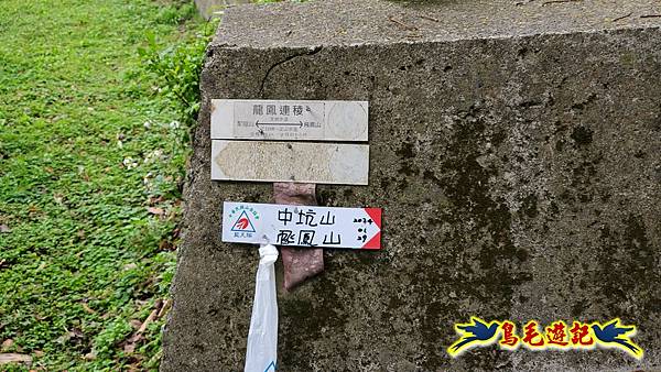 新竹倒別牛山-板根森林-中坑山-飛鳳山步道P形 (63).jpg