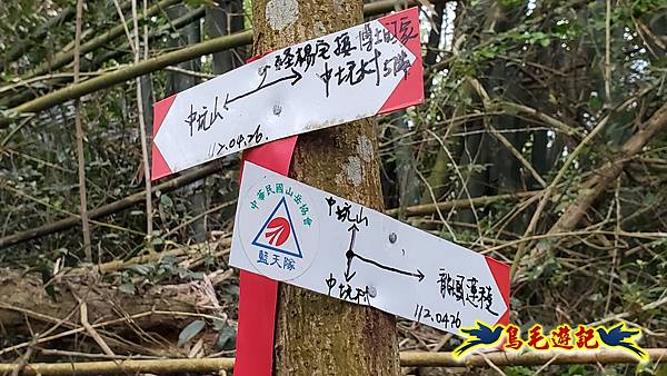 新竹倒別牛山-板根森林-中坑山-飛鳳山步道P形 (67).jpg