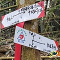 新竹倒別牛山-板根森林-中坑山-飛鳳山步道P形 (67).jpg