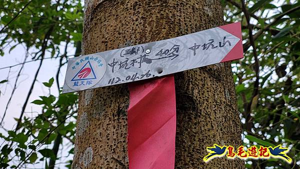 新竹倒別牛山-板根森林-中坑山-飛鳳山步道P形 (66).jpg