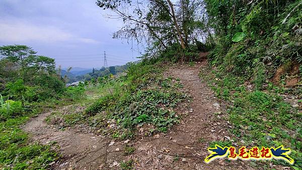 新竹倒別牛山-板根森林-中坑山-飛鳳山步道P形 (65).jpg