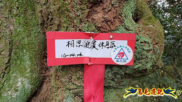新竹倒別牛山-板根森林-中坑山-飛鳳山步道P形 (73).jpg