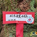 新竹倒別牛山-板根森林-中坑山-飛鳳山步道P形 (73).jpg