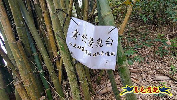 新竹倒別牛山-板根森林-中坑山-飛鳳山步道P形 (70).jpg 新竹倒別牛山-板根森林-中坑山-飛鳳山步道P形 (70).jpg