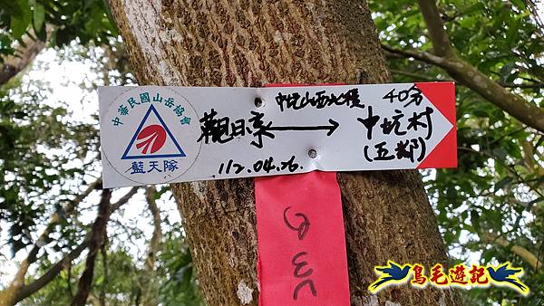 新竹倒別牛山-板根森林-中坑山-飛鳳山步道P形 (74).jpg 新竹倒別牛山-板根森林-中坑山-飛鳳山步道P形 (74).jpg