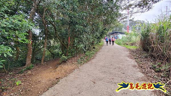 新竹倒別牛山-板根森林-中坑山-飛鳳山步道P形 (75).jpg