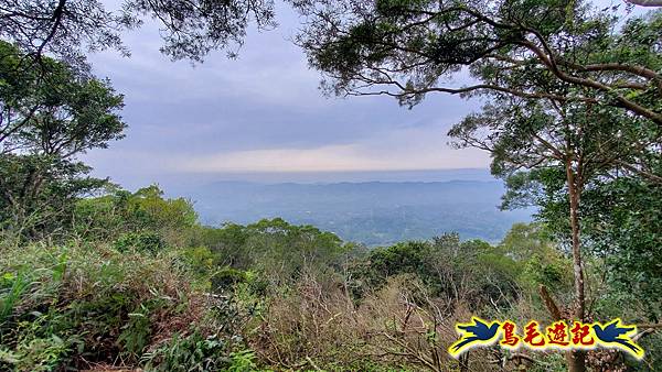 新竹倒別牛山-板根森林-中坑山-飛鳳山步道P形 (76).jpg 新竹倒別牛山-板根森林-中坑山-飛鳳山步道P形 (76).jpg