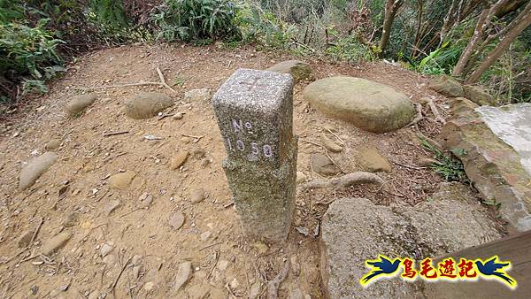 新竹倒別牛山-板根森林-中坑山-飛鳳山步道P形 (77).jpg