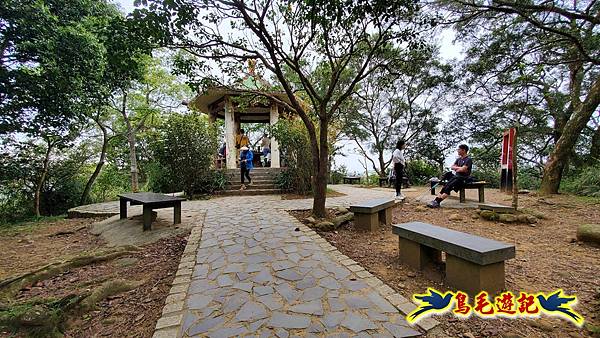 新竹倒別牛山-板根森林-中坑山-飛鳳山步道P形 (80).jpg 新竹倒別牛山-板根森林-中坑山-飛鳳山步道P形 (80).jpg