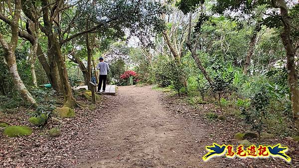 新竹倒別牛山-板根森林-中坑山-飛鳳山步道P形 (81).jpg