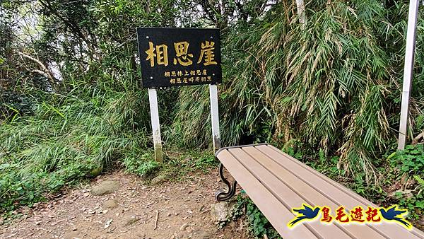 新竹倒別牛山-板根森林-中坑山-飛鳳山步道P形 (82).jpg 新竹倒別牛山-板根森林-中坑山-飛鳳山步道P形 (82).jpg