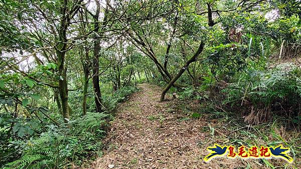 七堵草濫古道-姜子寮山步道O形 (5).jpg