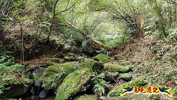 七堵草濫古道-姜子寮山步道O形 (12).jpg