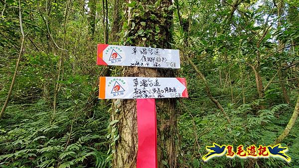 七堵草濫古道-姜子寮山步道O形 (19).jpg