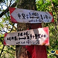 七堵草濫古道-姜子寮山步道O形 (21).jpg