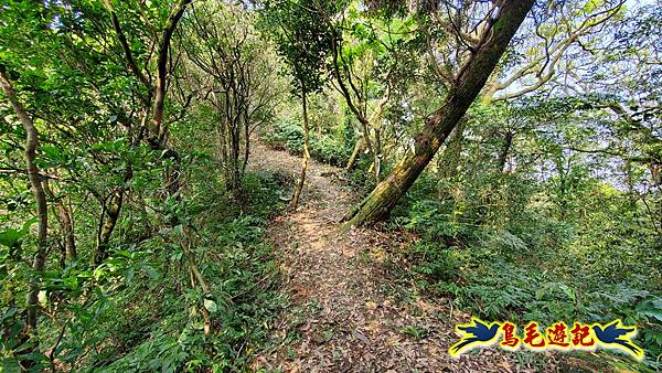 七堵草濫古道-姜子寮山步道O形 (22).jpg