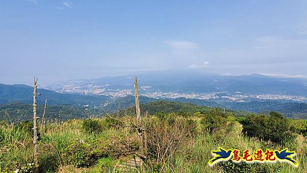 七堵草濫古道-姜子寮山步道O形 (29).jpg