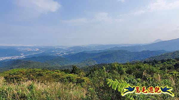 七堵草濫古道-姜子寮山步道O形 (28).jpg