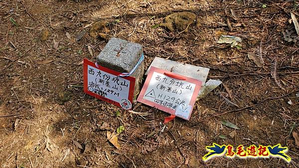 雙溪南天宮-西九份坑山(新基山)-九份坑山-文秀坑清水岩-雙溪車站 (16).jpg