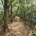 雙溪南天宮-西九份坑山(新基山)-九份坑山-文秀坑清水岩-雙溪車站 (29).jpg