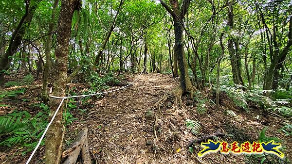 雙溪南天宮-西九份坑山(新基山)-九份坑山-文秀坑清水岩-雙溪車站 (33).jpg