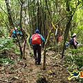 雙溪南天宮-西九份坑山(新基山)-九份坑山-文秀坑清水岩-雙溪車站 (41).jpg