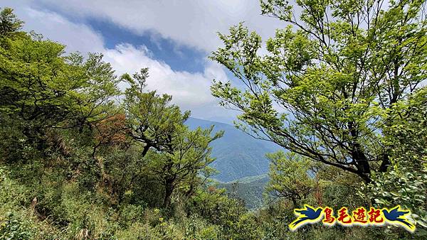 逐鹿山卡保山雲森瀑布O形(山毛櫸森氏杜鵑粉紅根結蘭一葉蘭) (65).jpg