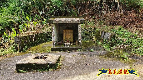 猴硐神社%26;金字碑古道至九份老街訪鐘萼木 (44).jpg