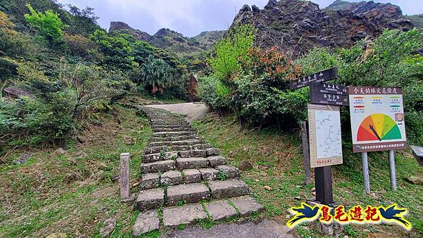 茶壺山半屏山紅星杜鵑雨中行 (9).jpg