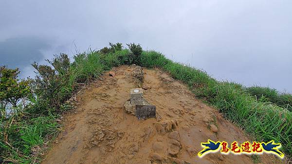 茶壺山半屏山紅星杜鵑雨中行 (17).jpg