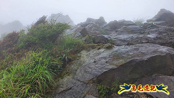 茶壺山半屏山紅星杜鵑雨中行 (36).jpg