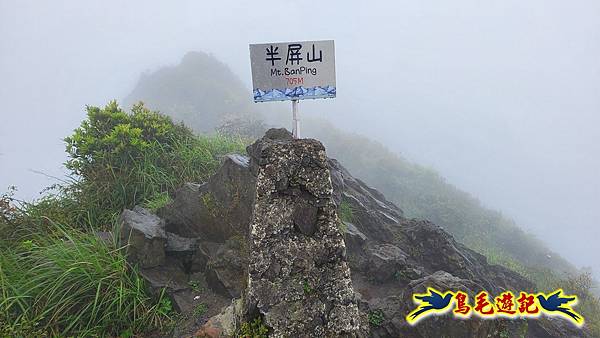 茶壺山半屏山紅星杜鵑雨中行 (48).jpg