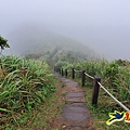 茶壺山半屏山紅星杜鵑雨中行 (57).jpg