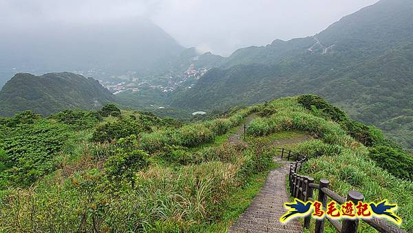 茶壺山半屏山紅星杜鵑雨中行 (61).jpg