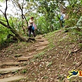 小南港山步道桐花飄 (25).jpg