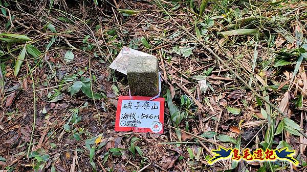 芊蓁坑橋-破子寮山-芊蓁坑溪畔古道-環流丘土地公-三方向山古道-紅壇古道-大平山-大平造林路0形 (13).jpg