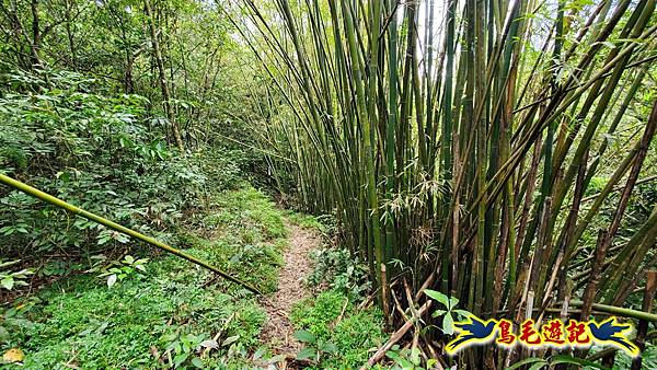 芊蓁坑橋-破子寮山-芊蓁坑溪畔古道-環流丘土地公-三方向山古道-紅壇古道-大平山-大平造林路0形 (25).jpg