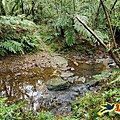 芊蓁坑橋-破子寮山-芊蓁坑溪畔古道-環流丘土地公-三方向山古道-紅壇古道-大平山-大平造林路0形 (36).jpg