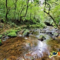 芊蓁坑橋-破子寮山-芊蓁坑溪畔古道-環流丘土地公-三方向山古道-紅壇古道-大平山-大平造林路0形 (45).jpg