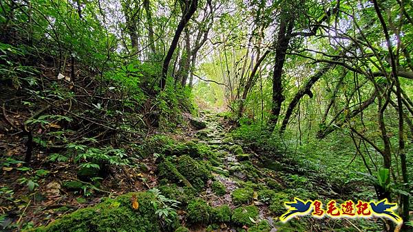 芊蓁坑橋-破子寮山-芊蓁坑溪畔古道-環流丘土地公-三方向山古道-紅壇古道-大平山-大平造林路0形 (54).jpg