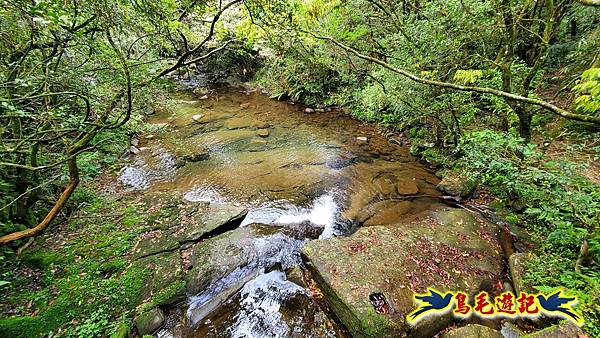 芊蓁坑橋-破子寮山-芊蓁坑溪畔古道-環流丘土地公-三方向山古道-紅壇古道-大平山-大平造林路0形 (64).jpg