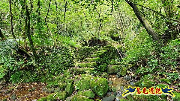 芊蓁坑橋-破子寮山-芊蓁坑溪畔古道-環流丘土地公-三方向山古道-紅壇古道-大平山-大平造林路0形 (68).jpg