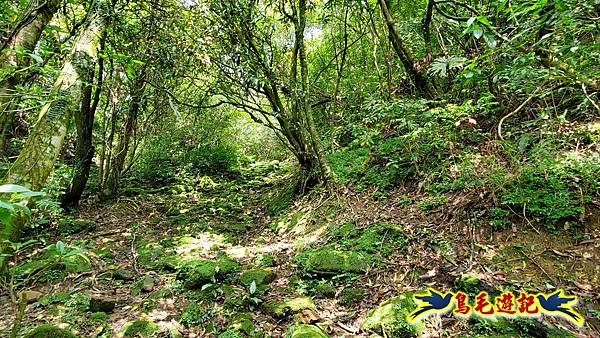 芊蓁坑橋-破子寮山-芊蓁坑溪畔古道-環流丘土地公-三方向山古道-紅壇古道-大平山-大平造林路0形 (69).jpg