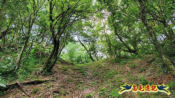 芊蓁坑橋-破子寮山-芊蓁坑溪畔古道-環流丘土地公-三方向山古道-紅壇古道-大平山-大平造林路0形 (70).jpg