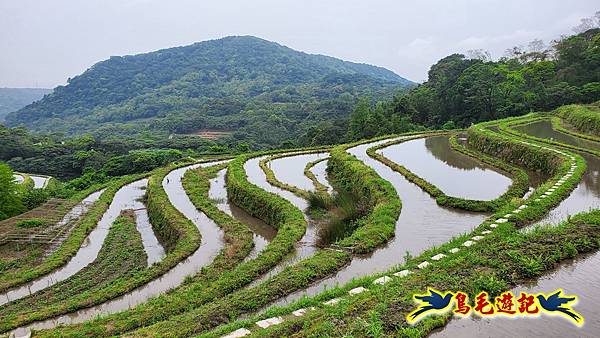 石門嵩山-百年梯田-阡陌步道 (10).jpg