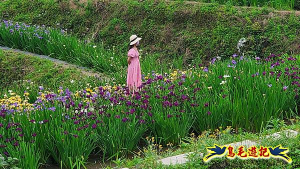 石門嵩山-百年梯田-阡陌步道 (18).jpg