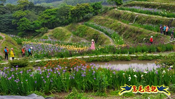 石門嵩山-百年梯田-阡陌步道 (15).jpg